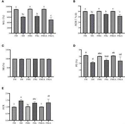 Dietary α-ketoglutarate alleviates glycinin and β-conglycinin induced damage in the intestine of mirror carp (Cyprinus carpio)